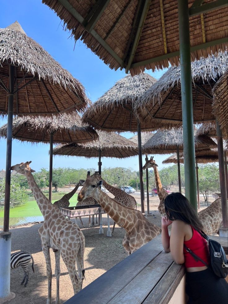 Safari World